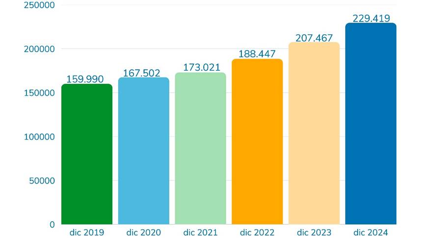 Gráfico de barras que refleja el activo total del Banco para los periodos 2019-2024.